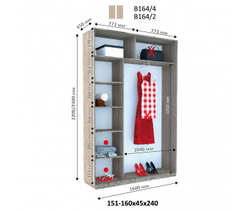 Шкаф купе Виват В 164 (240х45х145)