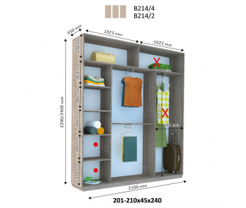 Шкаф купе Виват В 214 (220х45х210)